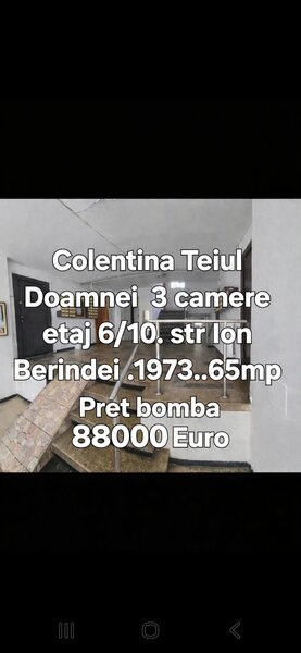 Colentina - Teiul Doamnei