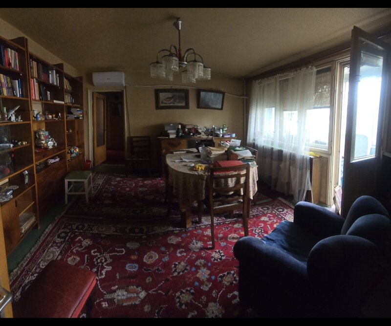 Colentina - Teiul Doamnei