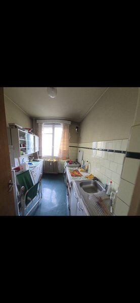 Colentina - Teiul Doamnei