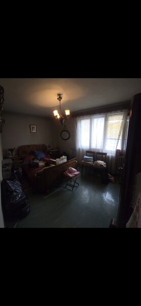 Colentina - Teiul Doamnei