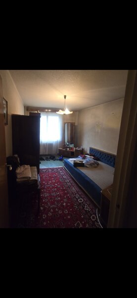 Colentina - Teiul Doamnei