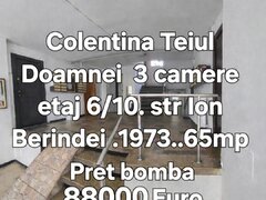 Colentina - Teiul Doamnei