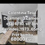 Colentina - Teiul Doamnei
